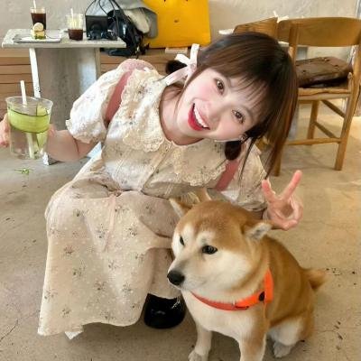 卡通一箩筐第一季 在线观看